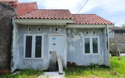 The Rise of ‘We Buy Ugly Homes’
